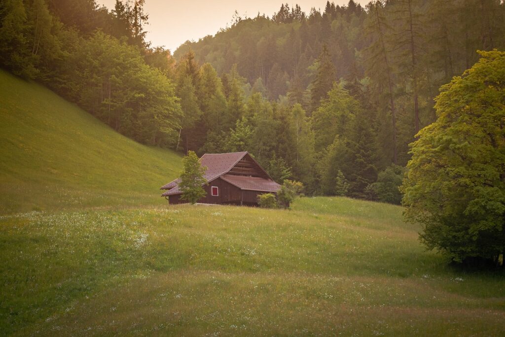 Vůně dřeva dělá chalupu